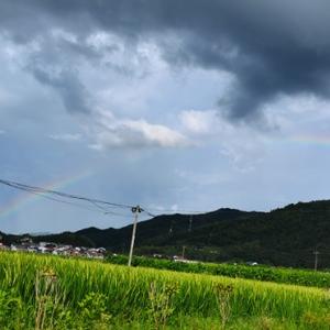 逝去的青春头像