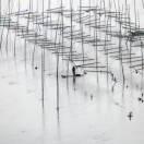 乐的个人资料头像