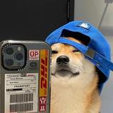 fw178头像
