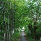 云侣的个人资料头像