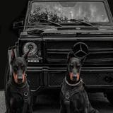 我是阿东啊1989头像