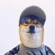 zeng_1994的个人资料头像