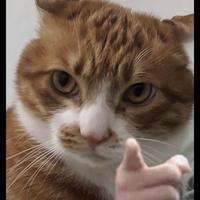 头发克星恩头像