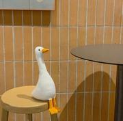 Yd的个人资料头像