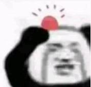 小哈哈哈的个人资料头像