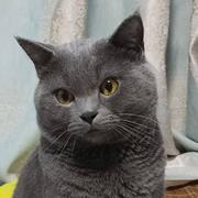 sin60的个人资料头像