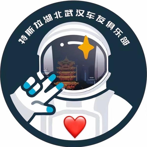 特斯拉湖北车友会头像