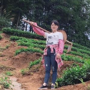 石洋山茗茶头像