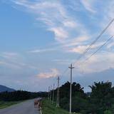 小小聪910头像