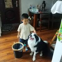 SSS踢球者头像