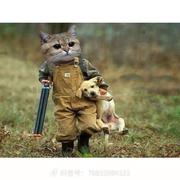 落日与晚风的个人资料头像