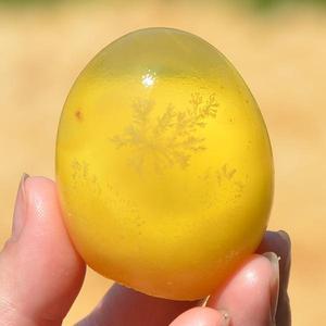 河南子牛的个人主页 西瓜视频