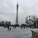 微爱学习47689的个人资料头像