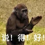用户806549587707头像