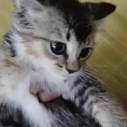 徐二的个人资料头像