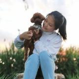 衡彩水漆头像