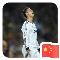 CR79935头像