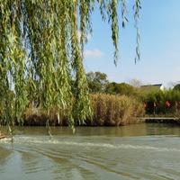 侬想哪能啊头像