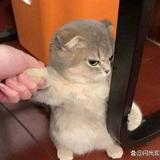 微风清扬793头像