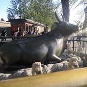 学无止境755的个人资料头像