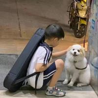 橘子3445头像