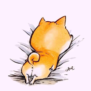 tyrion2049的个人资料头像