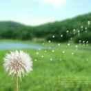 乌云不想说话的个人资料头像