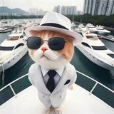 B碰我的人生头像
