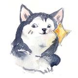 立早2475头像