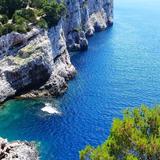 顶级山雀T1f头像