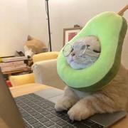 Cniny的个人资料头像