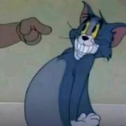 白兰鸽763的个人资料头像