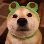 neeta的个人资料头像