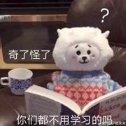 无敌小小白菜的个人资料头像
