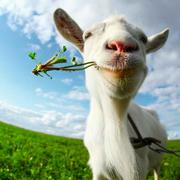 任我心的个人资料头像