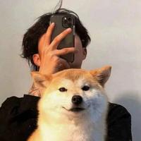 真该加钱提个劳头像