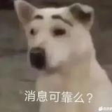 刘本岩头像