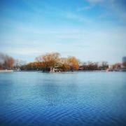 安然_无恙_80的个人资料头像