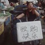 反季节马铃薯头像