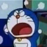 狐狸co的个人资料头像