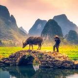 老狒狒—头像