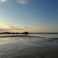 老田的老六头像