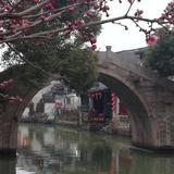 无极I头像