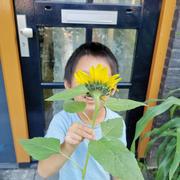 william12315的个人资料头像