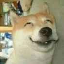 就是我58727的个人资料头像