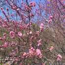 心之所往身体力行的个人资料头像