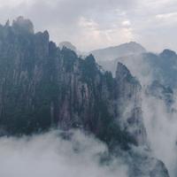 成熟饭团Fo头像