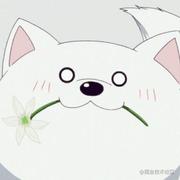 汗炒灰的个人资料头像