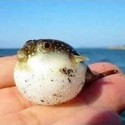 Joel90的个人资料头像