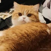 噜噜噜的个人资料头像